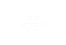 Mobius Risk Group
